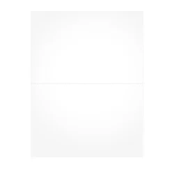 Tax Forms*Adams 2024 W-2 Blank Laser/Inkject Tax Forms, 100/pack (BLW2Q)