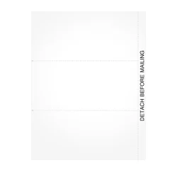 Tax Forms*Adams 2024 W-2 or 1099 Blank 3-up Laser/Inkject Tax Forms, 102/pack (LB1099NB34)