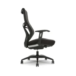Ergonomic Chairs*Beautyrest Duo-EX Ergonomic Mesh Swivel Task Chair, /Gray (60051GRY) Black