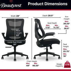 Ergonomic Chairs*Beautyrest ErgoMax Ergonomic Mesh Swivel Task Chair, (60078-BLK) Black