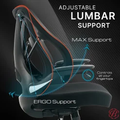 Ergonomic Chairs*Beautyrest ErgoMax Ergonomic Mesh Swivel Task Chair, (60078-BLK) Black