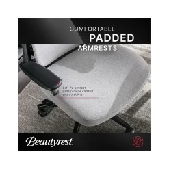 Ergonomic Chairs*Beautyrest ErgoMax Ergonomic Mesh/Fabric Swivel Task Chair, (60078-Gry) Gray