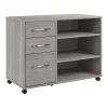 File Cabinets*Bush Business Furniture Hustle Office Storage Cabinet with Wheels, Platinum Gray (HUF140PG)