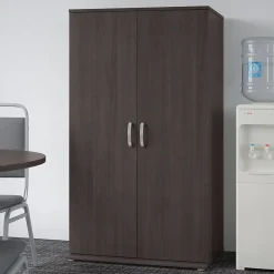 Storage Cabinets*Bush Business Furniture Universal 62" Tall Storage Cabinet with Doors and 5 Shelves, Storm Gray (UNS136SGK)