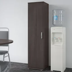 Storage Cabinets*Bush Business Furniture Universal 62" Tall Narrow Storage Cabinet with Door and 3 Shelves, Storm Gray (UNS116SG)