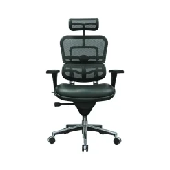 Office Chairs*Eurotech Ergohuman Mesh Back Leather Task Chair, Black (LEM4ERG -LBK(N))