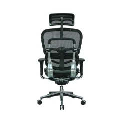 Office Chairs*Eurotech Ergohuman Mesh Back Leather Task Chair, Black (LEM4ERG -LBK(N))