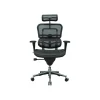 Office Chairs*Eurotech High Back Mesh Task Chair, Black (ME7ERG(N))