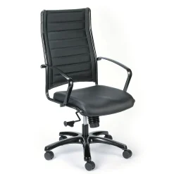 Office Chairs*Eurotech High Back Titanium Frame Leather Executive Chair: Black