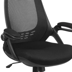 Office Chairs*Flash Furniture Ivan Ergonomic Mesh Swivel High Back Executive Office Chair, Black (HL0018)