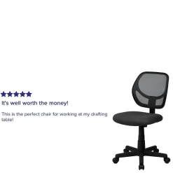 Office Chairs*Flash Furniture Neri Armless Ergonomic Mesh Swivel Low Back Task Office Chair, Gray (WA3074GY)