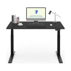 Standing Desks*FlexiSpot E7 Pro 55