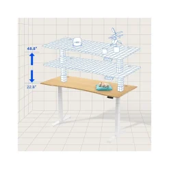 Standing Desks*FlexiSpot E7 72