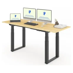 Standing Desks*FlexiSpot E7Q 72