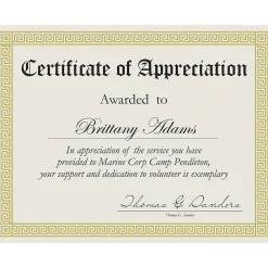 Awards & Certificates*Great Papers Channel Border Foil Certificates, 8.5" x 11", Beige/Gold, 15/Pack (963007)