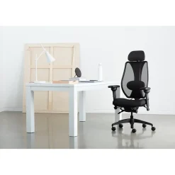 Office Chairs*Gry Mattr + ergoCentric sCentric Hybrid Task Chair, Black (sCentricST)