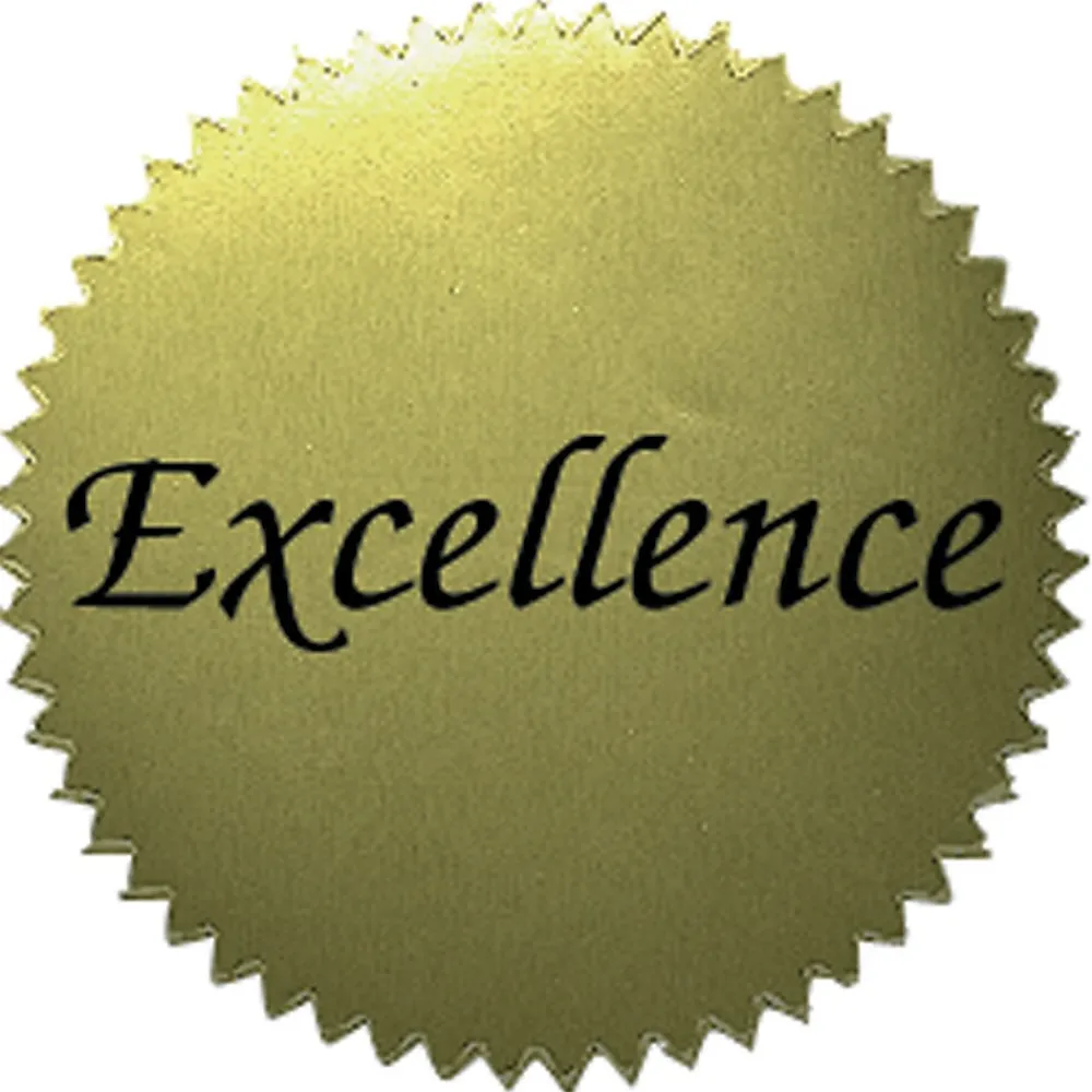 Awards & Certificates*Flipside Hayes Publishing Excellence 2" Gold Certificate Seals, 50 Per Pack, 6 Packs (H-VA314-6)