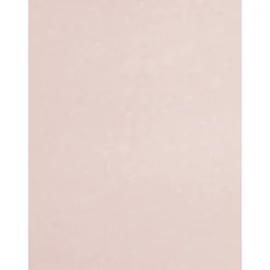 Card Stock*JAM Paper 30% Recycled Parchment Cardstock, 65 lb., 8.5" x 11", Salmon Pink, 50 Sheets/Pack (17137623)