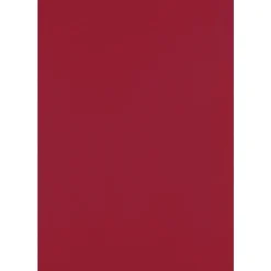 Card Stock*JAM Paper 13" x 19" Cardstock, 100lb, Garnet, 50/pack (1319-C-26-50)