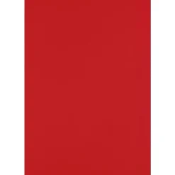 Card Stock*JAM Paper 13" x 19" Cardstock, Ruby Red, 50/pack (1319-C-18-50)