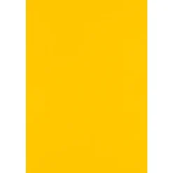 Card Stock*JAM Paper 12" x 18" Cardstock, Sunflower, 50/pack (1218-C-12-50)