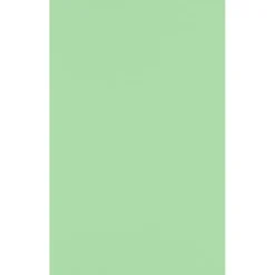 Multipurpose Paper*JAM Paper 11" x 17" Multipurpose Paper, 60 lbs., Pastel Green, 50/Pack (1117-P-67-50)