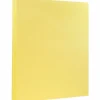 Card Stock*JAM Paper 8.5" x 11" Vellum Bristol Cardstock, 67lb, Canary Yellow, 100/pack (169822G)