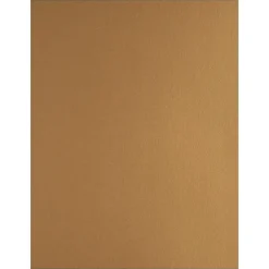 Multipurpose Paper*JAM Paper Foil 2-Sided 8.5" x 11" Color Multipurpose Paper, 24 lbs. Gold, 50 Sheets/Ream (1683736)