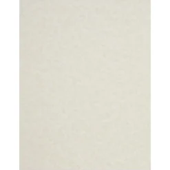 Card Stock*JAM Paper Parchment 65 lb. Cardstock Paper, 8.5