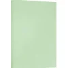 Card Stock*JAM Paper ® Vellum Bristol 67lb Cardstock, 11 x 17 Tabloid Coverstock, Green, 50 Sheets/Pack (16932836)