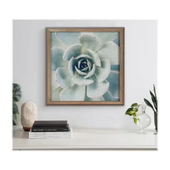 Bulletin*Kate & Laurel F2 Images Succulent 7 Cork Bulletin Board, Gold Frame, 1' x 1' (222048)