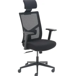 Ergonomic Chairs*La-Z-Boy Ergonomic Mesh Swivel Task Chair, (60021) Black