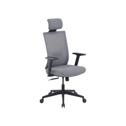 Ergonomic Chairs*La-Z-Boy Mesh Back Molded Foam Computer and Desk Chair, Gray (51448) Gray/White