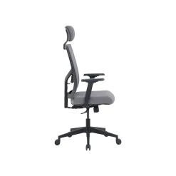 Ergonomic Chairs*La-Z-Boy Mesh Back Molded Foam Computer and Desk Chair, Gray (51448) Gray/White