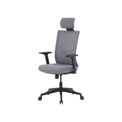 Ergonomic Chairs*La-Z-Boy Mesh Back Molded Foam Computer and Desk Chair, Gray (51448) Gray/White