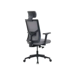 Ergonomic Chairs*La-Z-Boy Mesh Back Molded Foam Computer and Desk Chair, Gray (51448) Gray/White