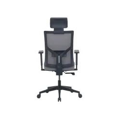 Ergonomic Chairs*La-Z-Boy Mesh Back Molded Foam Computer and Desk Chair, Gray (51448) Gray/White