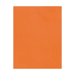 Card Stock*LUX 100 lb. Cardstock Paper, 13" x 19", Mandarin, 250 Sheets/Pack (1319-C-11-250)