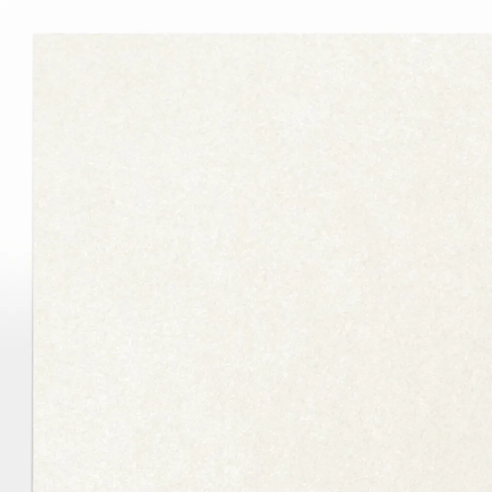 Card Stock*LUX 105 lb. Cardstock Paper, 8.5" x 11", Quartz Metallic, 50 Sheets/Pack (81211-C-72-50)