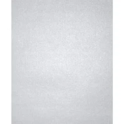Card Stock*LUX 105 lb. Cardstock Paper, 8.5" x 11", Silver Metallic, 500 Sheets/Pack (81211-C-78-500)