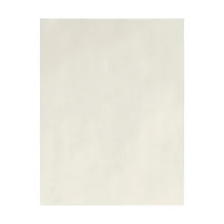 Card Stock*LUX 80 lb. Cardstock Paper, 8.5" x 11", Natural, 250 Sheets/Pack (81211-C-99-250)