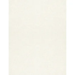 Card Stock*LUX 105 lb. Cardstock Paper, 11" x 17", Quartz Metallic, 500 Sheets/Ream (1117-C-M08-500)