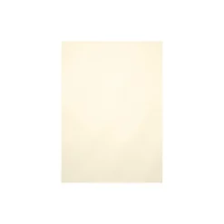 Card Stock*LUX 105 lb. Cardstock Paper, 8.5" x 11", Champagne Metallic, 50 Sheets/Pack (81211-C-M08-50)