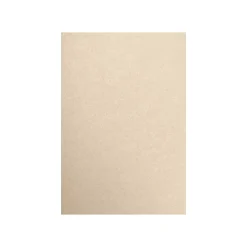 Card Stock*LUX 80 lb. Paper, 13" x 19", Taupe Metallic, 250 Sheets/Pack (1319-P-M09-250)