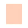 Multipurpose Paper*LUX Colored Paper, 32 lbs., 8.5" x 11", Blush, 500 Sheets/Pack (81211-P-114-500)