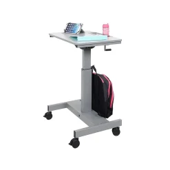 Standing Desks*Luxor Student 27