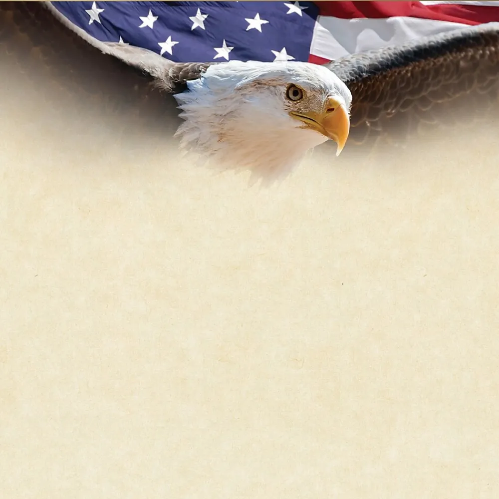 Awards & Certificates*Masterpiece Studios Great Papers!® Flying Eagle with Gold Foil Certificate, 8.5"H x 11"W, 15 count (2017042)