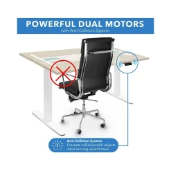 Standing Desks*Mount-It! 55