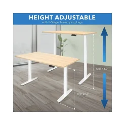 Standing Desks*Mount-It! 55