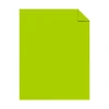 Card Stock*Neenah Paper Astrobrights 100 lb. Cover Paper, 12" x 18", Terra Green, 500 Sheets/Case (45293N)